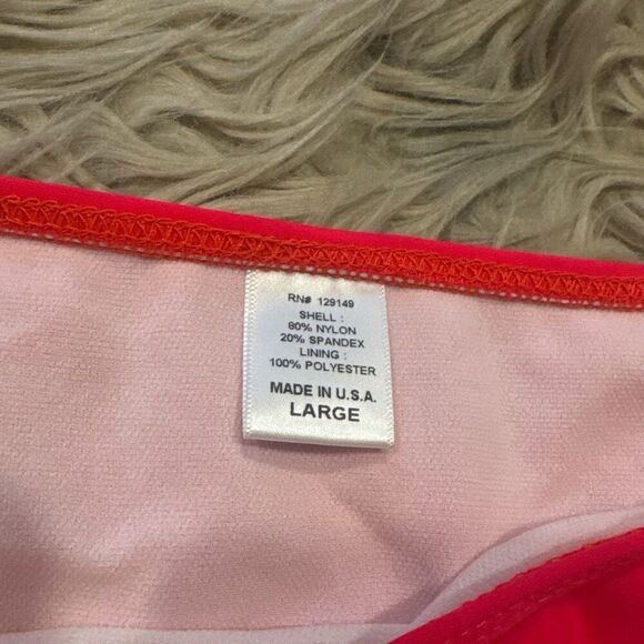 NWT dippin daisy’s bikini size large - Picture 2 of 5